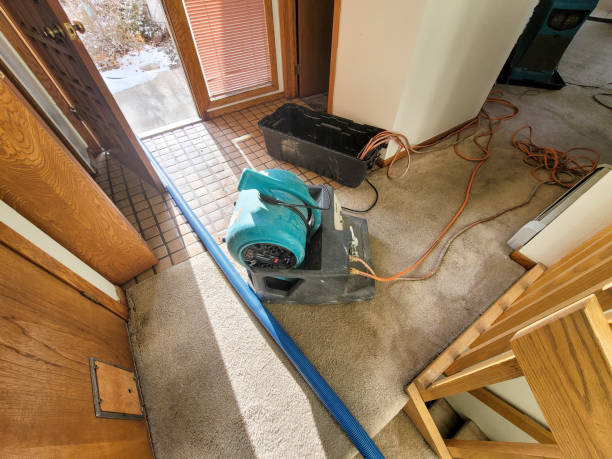 Best Flood damage cleanup  in Benton, KY