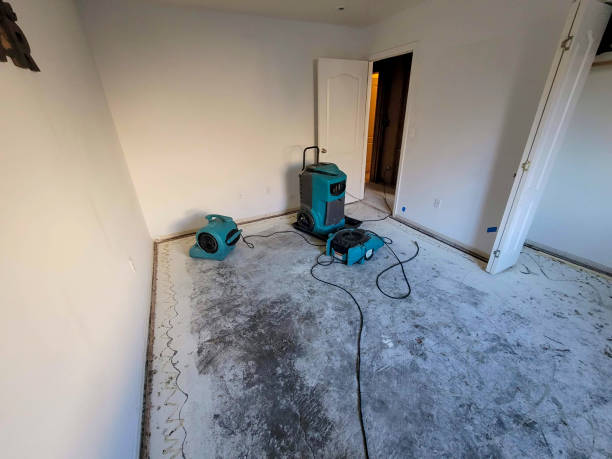 Best Carpet water damage restoration  in Benton, KY