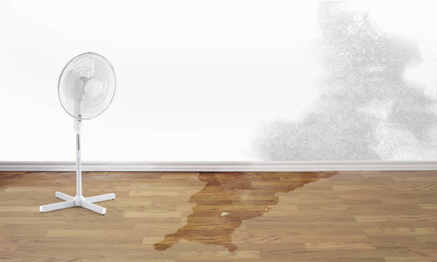 Best Water damage restoration cost  in Benton, KY