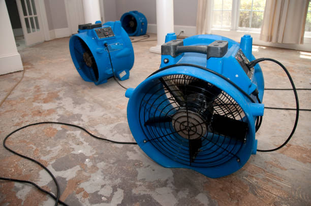 Best Water damage cleanup near me  in Benton, KY