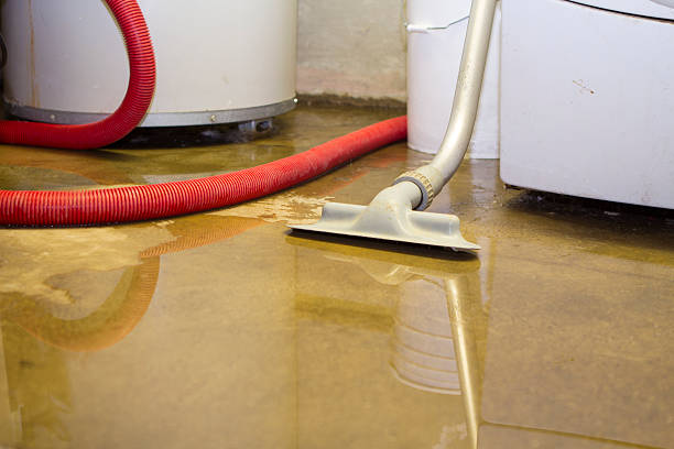 Best Water damage contractors near me  in Benton, KY