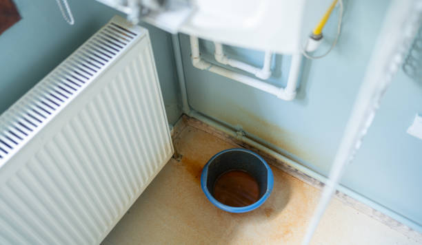 Best Sewage cleanup and water damage restoration  in Benton, KY