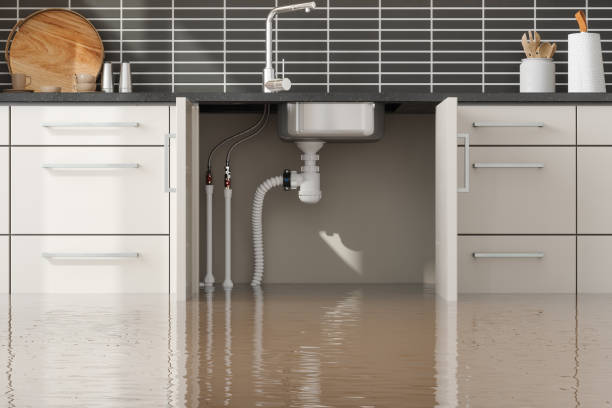 Best Fire Damage Restoration  in Benton, KY