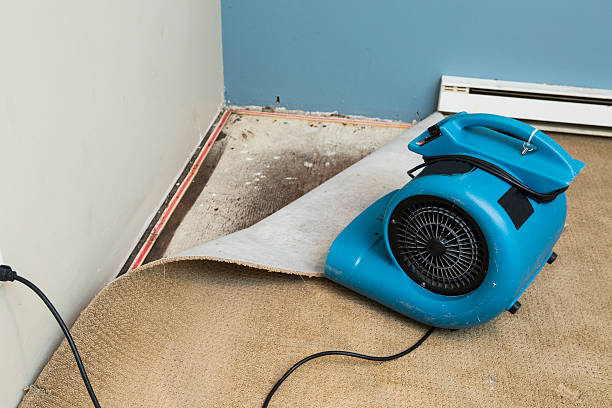 Best Water damage restoration near me  in Benton, KY